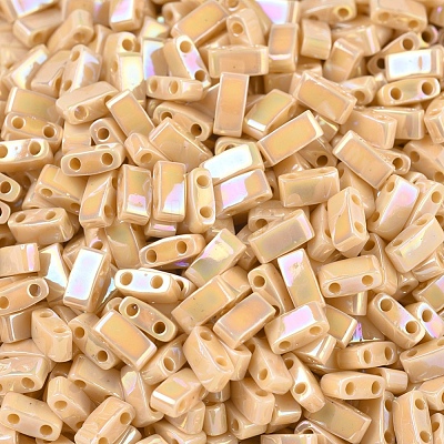 MIYUKI Half TILA Beads SEED-JP0008-HTL488-1