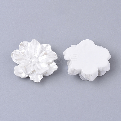 Resin Cabochons LS-X-RESI-S364-46B-1