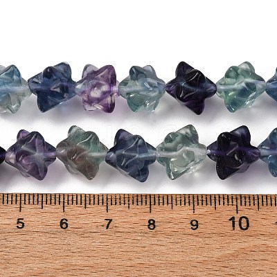 Natural Fluorite Beads Strands G-NH0063-01-1