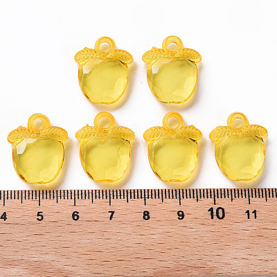 Transparent Acrylic Pendants TACR-S154-28B-81-1