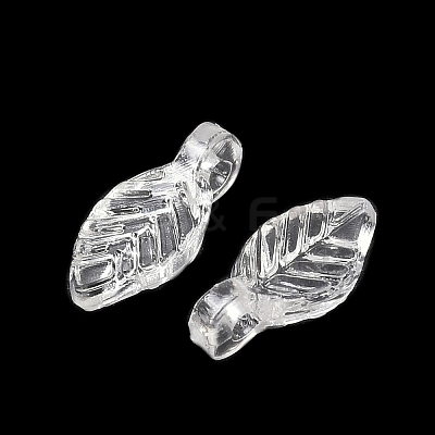 Transparent Acrylic Charms OACR-G054-02A-1