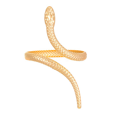 Snake Alloy Cuff Bangles & Cuff Rings Sets FS-WG6CA5E-01-1
