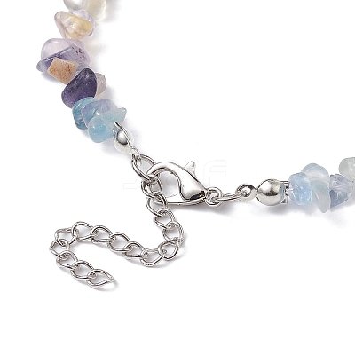 Natural Fluorite Chip Beaded Necklace NJEW-JN04615-11-1