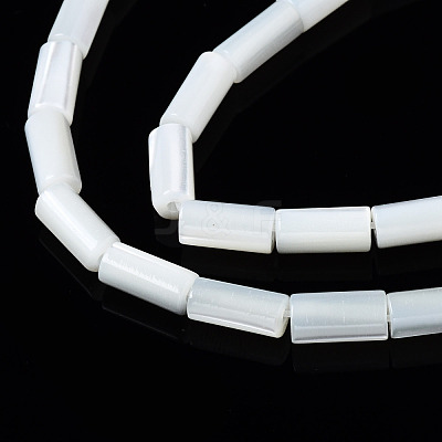 Natural Trochid Shell/Trochus Shell Beads Strands SSHEL-S266-020A-01-1
