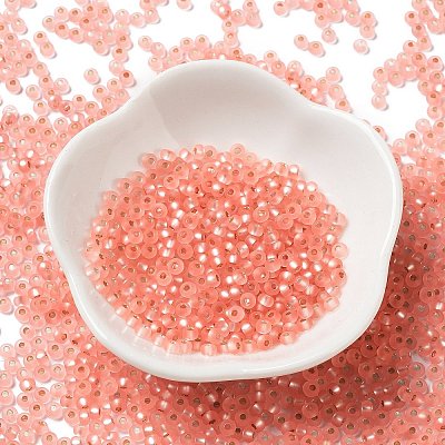 8/0 Glass Seed Beads SEED-Z001-C-E07-1