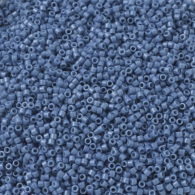 MIYUKI Delica Beads X-SEED-J020-DB2135-1