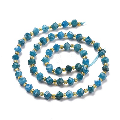 Natural Apatite Beads Strands G-P463-29-1