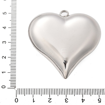304 Stainless Steel Pendants STAS-Q349-02A-P-1