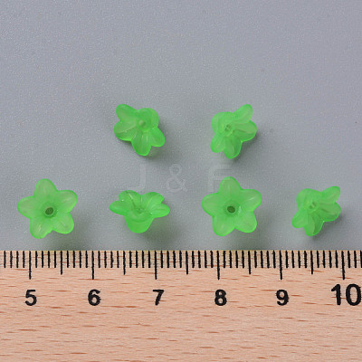 Transparent Acrylic Beads X-PL554-13-1