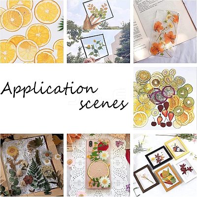 Wood Embossing DIY Corner Paper Printing Card Cutter DIY-WH0214-54A-1