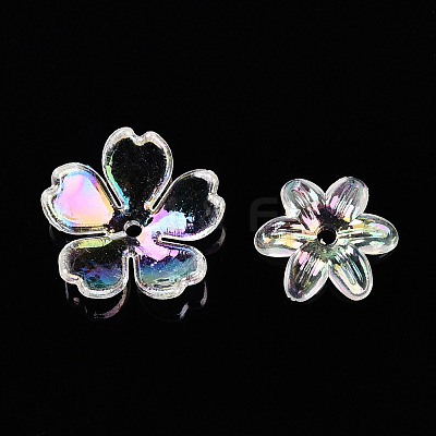Transparent Acrylic Beads OACR-N137-73G-1