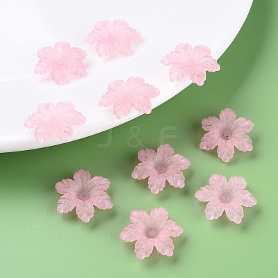 Transparent Acrylic Beads MACR-S373-117-D12-1