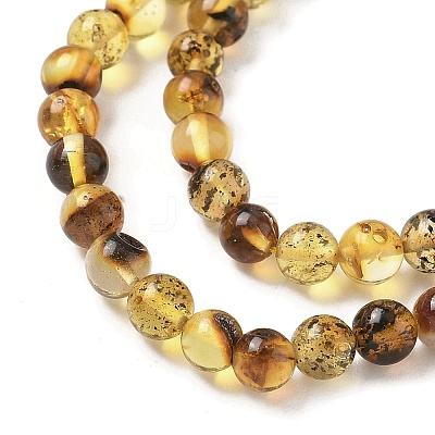 Natural Amber Beads Strands G-L095-B01-5mm-03-1