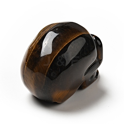 Halloween Natural Tiger Eye Display Decorations DJEW-K015-22-1
