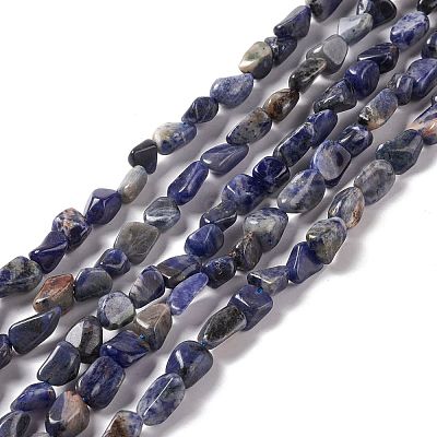 Natural Sodalite Beads Strands G-E115-01-1