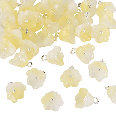 38Pcs Glass Charms GLAA-TADJ0001-19B-1