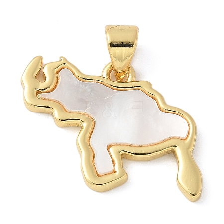 Brass Pendants KK-K298-20G-1