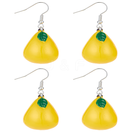 2Pairs Plastic Dangle Earrings EJEW-LP0001-29-1