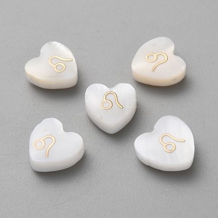 5Pcs Natural White Shell Beads BSHE-TAC0004-02G-1