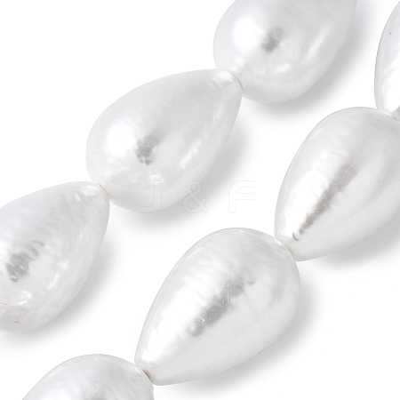 Electroplated Shell Pearl Beads Strands BSHE-F013-13-02-1