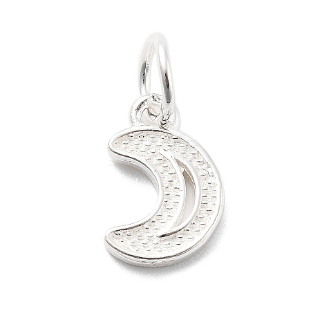 925 Sterling Silver Charms STER-S009-07B-S-1