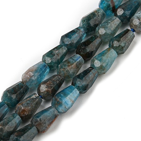 Natural Apatite Beads Strands G-C080-B06-01A-1