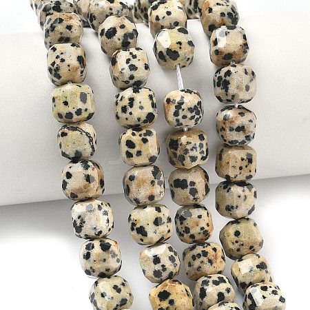 Natural Dalmatian Jasper Beads Strands G-C267-A14-1