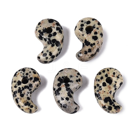 Natural Dalmatian Jasper Pendants G-S294-07B-13-1