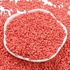 Baking Paint Glass Seed Beads SEED-S042-05A-31-2