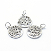 Brass Micro Pave Cubic Zirconia Charms ZIRC-L070-06P-1