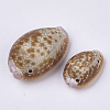 Natural Cowrie Shell Links connectors SSHEL-N034-22-2