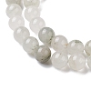 Natural Quartz Beads Strands G-C102-B02-03-4