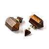 Natural Tiger Eye Perfume Bottle Pendants G-L623-08G-03-2