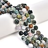 Natural Indian Agate Beads Strands G-T131-77A-6