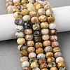 Natural Crazy Agate Beads Strands G-B179-A01-6x8mm-1