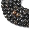 Natural Iolite Beads Strands G-K366-G02-01-4
