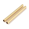 Brass Tube Beads KK-H503-03G-03-2