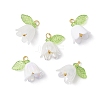 5Pcs Transparent Acrylic Pendants PALLOY-JF04703-01-1