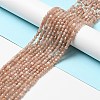 Natural Peach Moonstone Beads Strands G-D470-09-4