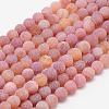 Natural Weathered Agate Beads Strands G-G589-10mm-05-1