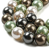 Polished Shell Pearl Bead Strands BSHE-F013-07D-3