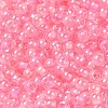 Glass Seed Beads SEED-H002-L-A238-3