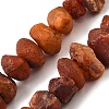 Natural Carnelian Beads Strands G-I283-F09-2