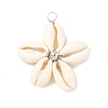 Natural Mixed Cowrie Shell Pendants PALLOY-JF03859-02-2