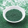 MIYUKI Round Rocailles Beads SEED-G007-RR0173-2