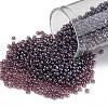 TOHO Round Seed Beads SEED-XTR11-0110B-1