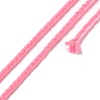 20M Polyester Braided Cord for Jewelry Making OCOR-G015-04A-07-1