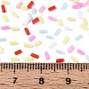 Handmade Polymer Clay Nail Art Decoration Accessories CLAY-T022-07E-3