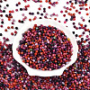 Picasso Glass Seed Beads SEED-N007-20B-2