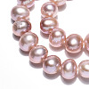 Natural Cultured Freshwater Pearl Beads Strands PEAR-N016-06C-02-4